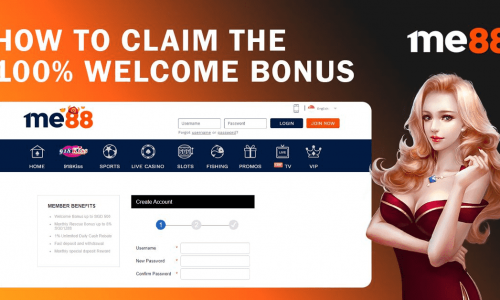 A Beginner’s Guide to How Online Casino Welcome Bonus Works